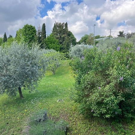 Happy Guest Apartments - Lake View And Pool Riva di Solto Exterior photo