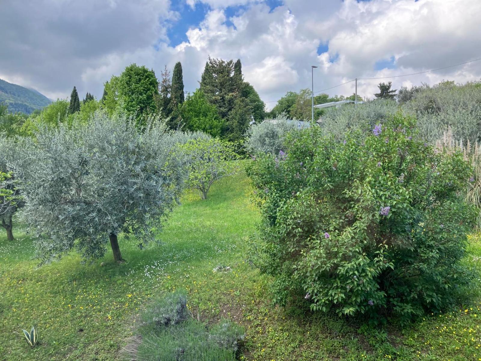 Happy Guest Apartments - Lake View And Pool Riva di Solto Exterior photo